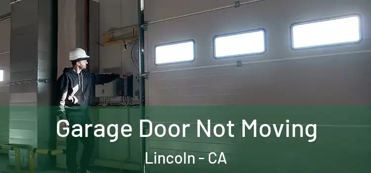  Garage Door Not Moving Lincoln - CA