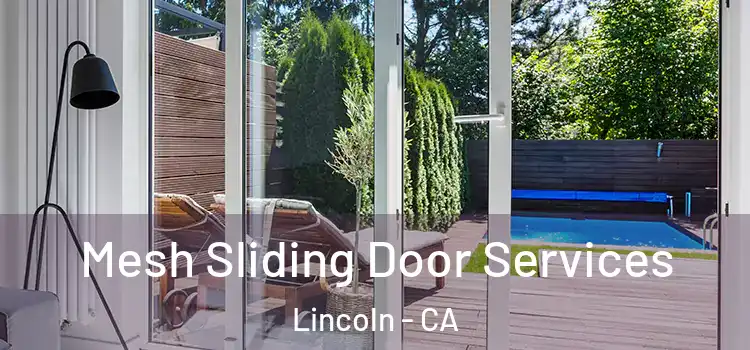 Mesh Sliding Door Services Lincoln - CA